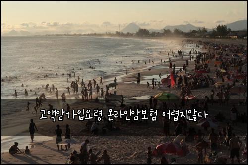 고액암가입요령 온라인암보험 어렵지않다 