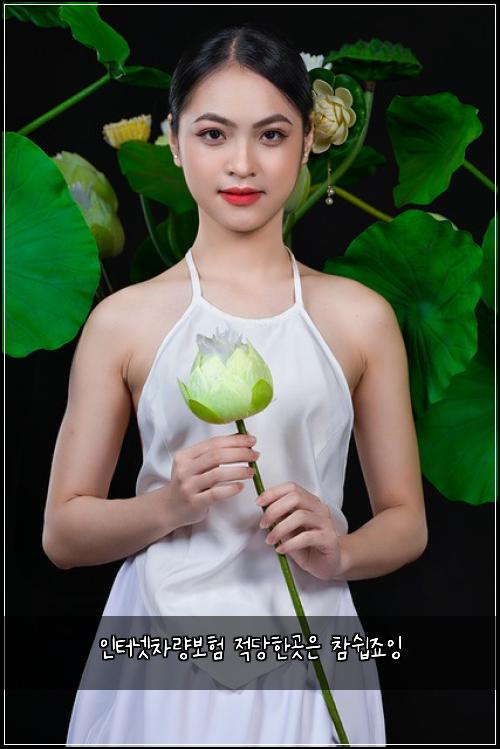 ์ธํฐ๋ท์ฐจ๋๋ณดํ ์ ๋นํ๊ณณ์ ์ฐธ์ฝ์ฃ ์