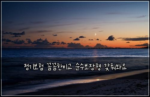 정기보험 꼼꼼한비교  순수보장형 갖춰봐요