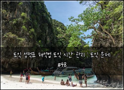 토익 성적표 해석법 토익 시간 관리 : 토익 문제 #48