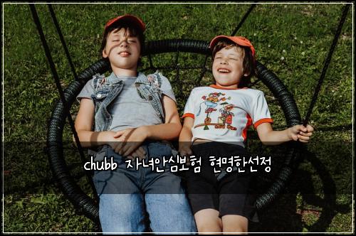 chubb μλ
μμ¬λ³΄ν νλͺ
νμ μ 