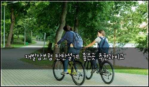 ์ฌ๋ฐ์๋ณดํ ํํ์ค๊ณ ์ข์๊ณณ ์ถ์ฒ๊ณผ๋น๊ต