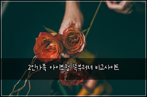 2์ธ๊ฐ์กฑ ์์ด๋ณดํ ๋๋ถ๋ฌ์ ธ ๋น๊ต์ฌ์ดํธ