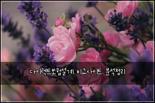 다이렉트보험설계 비교사이트 분석정리