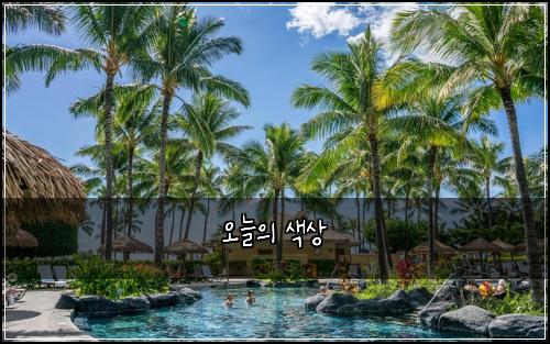 오늘의 색상