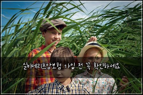 실비메리츠암보험 가입 전 꼭 확인하세요