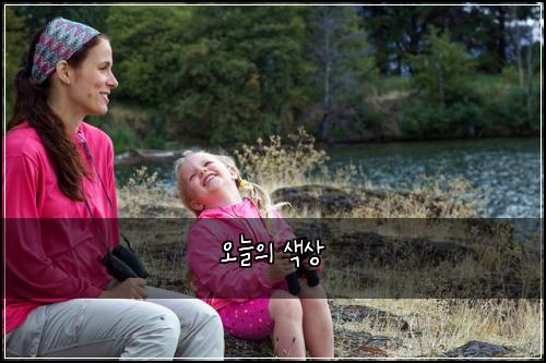 오늘의 색상