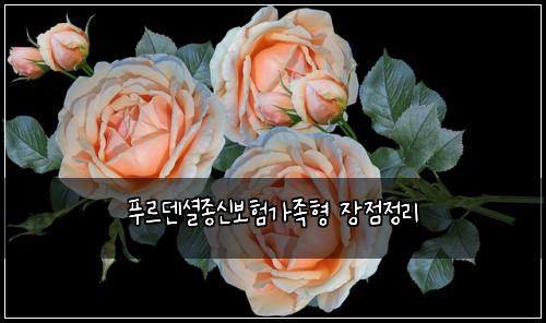 푸르덴셜종신보험가족형 장점정리