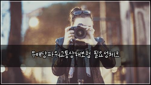 ๋ฌด๋ฐฐ๋นํ์๊ตํต์ํด๋ณดํ ํ์์ฑ์ฒดํฌ