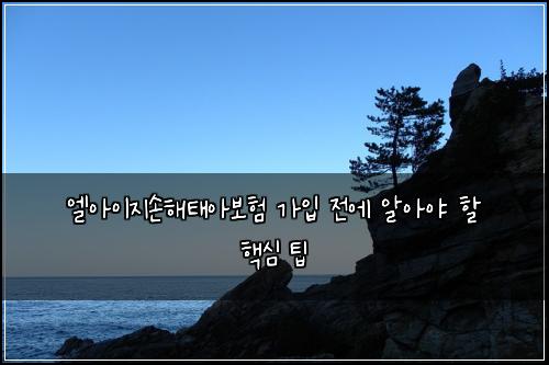 엘아이지손해태아보험 가입 전에 알아야 할 핵심 팁