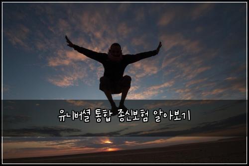 유니버셜 통합 종신보험 알아보기