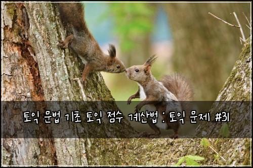 토익 문법 기초 토익 점수 계산법 : 토익 문제 #31
