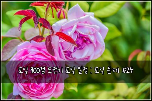 토익 900점 도전기 토익 일정 : 토익 문제 #24