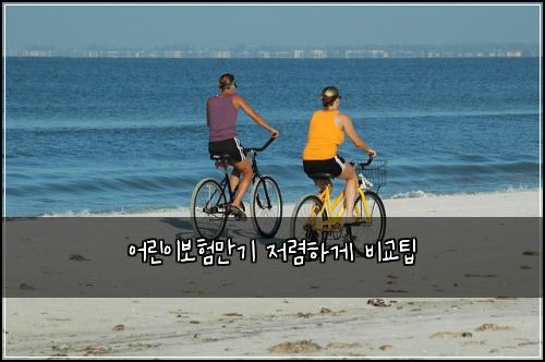 어린이보험만기 저렴하게 비교팁