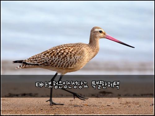 ํ์๋ณดํ์์์ ์ฑ๋น๋จ ํน๋ณํํคํ