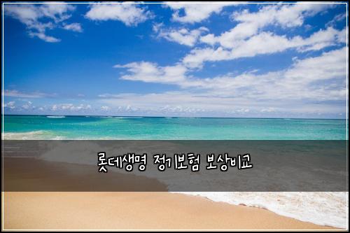 롯데생명 정기보험 보상비교 