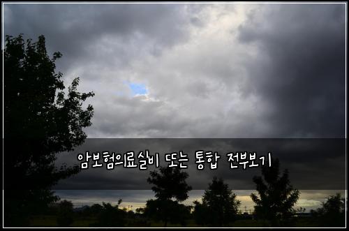 ์๋ณดํ์๋ฃ์ค๋น ๋๋ ํตํฉ ์ ๋ถ๋ณด๊ธฐ
