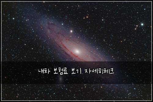 내차 보험료 보기 자세히체크