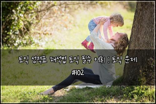 토익 성적표 해석법 토익 필수 어휘 : 토익 문제 #102