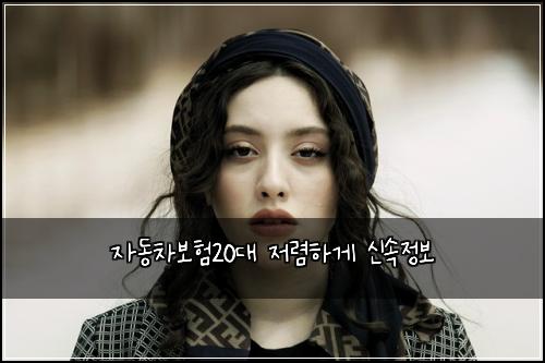 ์๋์ฐจ๋ณดํ20๋ ์ ๋ ดํ๊ฒ ์ ์์ ๋ณด