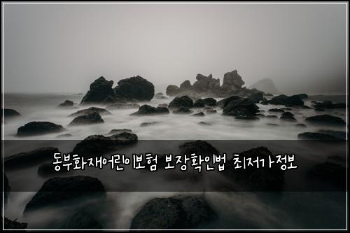 동부화재어린이보험 보장확인법  최저가정보
