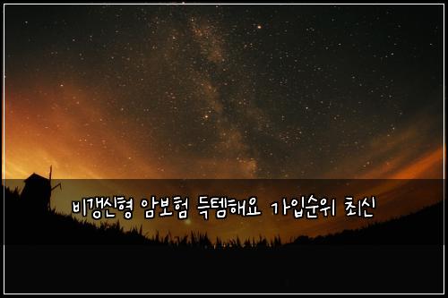 비갱신형 암보험 득템해요  가입순위 최신