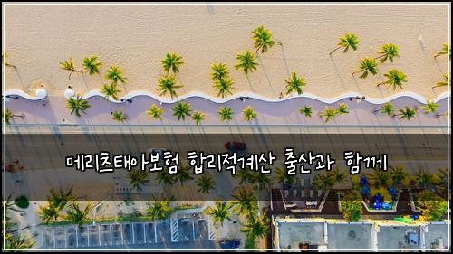 메리츠태아보험 합리적계산  출산과 함께