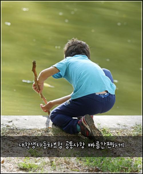 ๋ํ์์๋์ฐจ๋ณดํ ๊ณตํต์ฌํญ ๋น ๋ฆ๊ฐํธํ๊ฒ