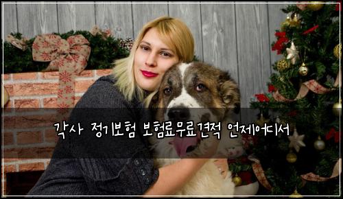 각사 정기보험 보험료무료견적 언제어디서