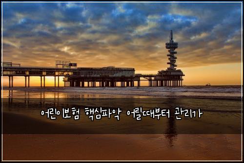 어린이보험 핵심파악  어릴때부터 관리가