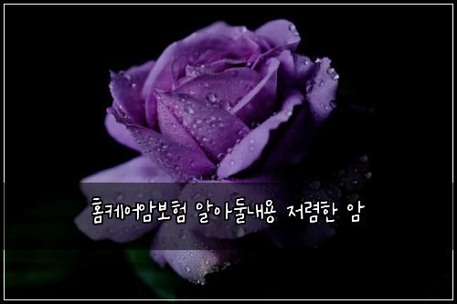 홈케어암보험 알아둘내용  저렴한 암