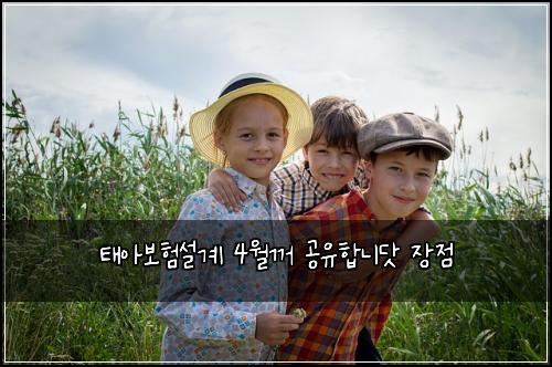 ํ์๋ณดํ์ค๊ณ 4์๊บผ ๊ณต์ ํฉ๋๋ท ์ฅ์ 