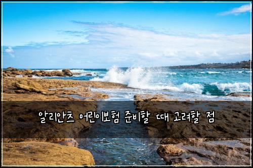 알리안츠 어린이보험 준비할 때 고려할 점