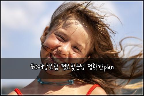 40๋์๋ณดํ ์ ๋ณด์ฐพ๋๋ฒ ์ ํํplan