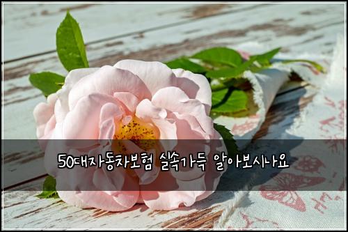 50๋์๋์ฐจ๋ณดํ ์ค์๊ฐ๋ ์์๋ณด์๋์