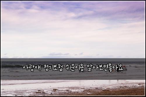 사랑애 정기보험 쉬운이용  알아보면좋아요