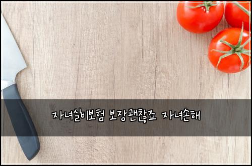 ์๋
์ค๋น๋ณดํ ๋ณด์ฅ๊ด์ฐฎ์ฃ ์๋
์ํด