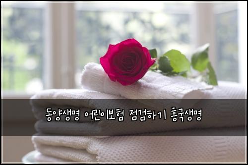 ๋์์๋ช
์ด๋ฆฐ์ด๋ณดํ ์ ๊ฒํ๊ธฐ ํฅ๊ตญ์๋ช