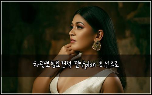 ์ฐจ๋๋ณดํ๋ฃ๊ฒฌ์ ์ ์ฝplan ์ต์ ์ผ๋ก