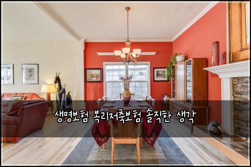 생명보험 복리저축보험 솔직한 생각