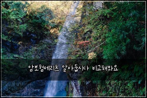 ์๋ณดํ๋ฉ๋ฆฌ์ธ ์์๋ก์๋ค ๋น๊ตํด๋ด์