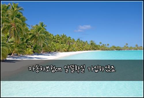 ์๋์ฐจ๋ณดํcm ์๋ฐํ์ค ๊ฐ์
ํ์
จ์ฃ