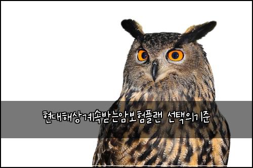 현대해상계속받는암보험플랜 선택의기준
