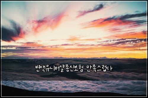 변액유니버샬종신보험 만족스럽다 