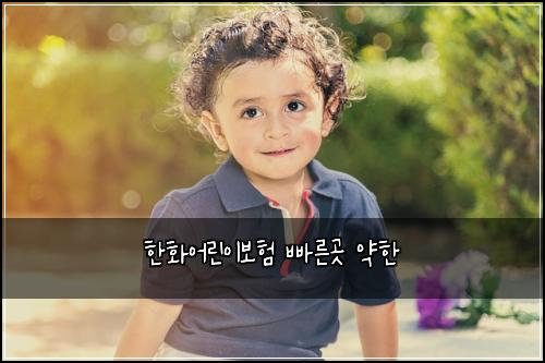 ํํ์ด๋ฆฐ์ด๋ณดํ ๋น ๋ฅธ๊ณณ ์ฝํ