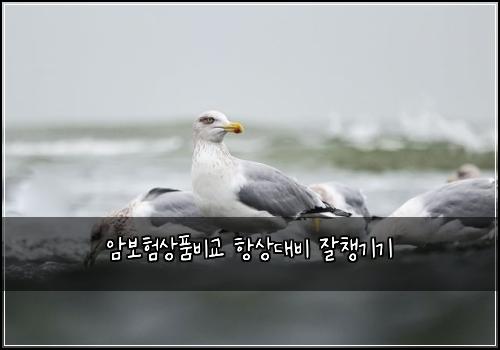 ์๋ณดํ์ํ๋น๊ต ํญ์๋๋น ์์ฑ๊ธฐ๊ธฐ