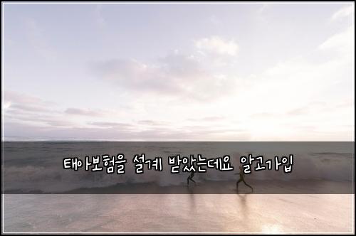 태아보험을 설계 받았는데요 알고가입