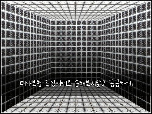 νμ보ν μ΅μμ΄μμ μν΄λ³΄μ§λ§κ³ κΌΌκΌΌνκ²