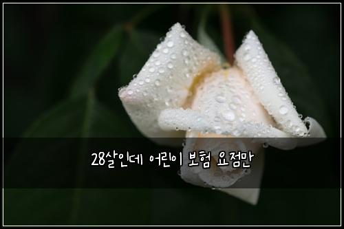 28์ด์ธ๋ฐ ์ด๋ฆฐ์ด ๋ณดํ ์์ ๋ง