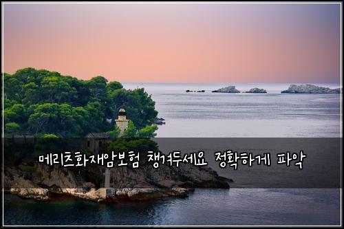 λ©λ¦¬μΈ νμ¬μ보ν μ±κ²¨λμΈμ μ ννκ² νμ